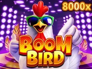 Boom Bird