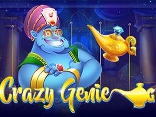Crazy Genie game thumbnail